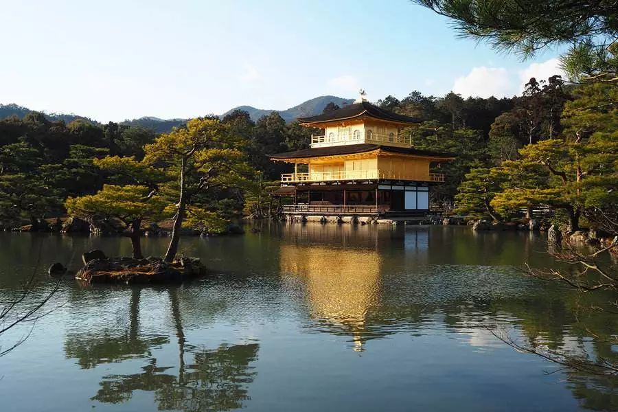 为了一群鹿而去一座城！日本奈良如何从“穷乡下”逆袭...