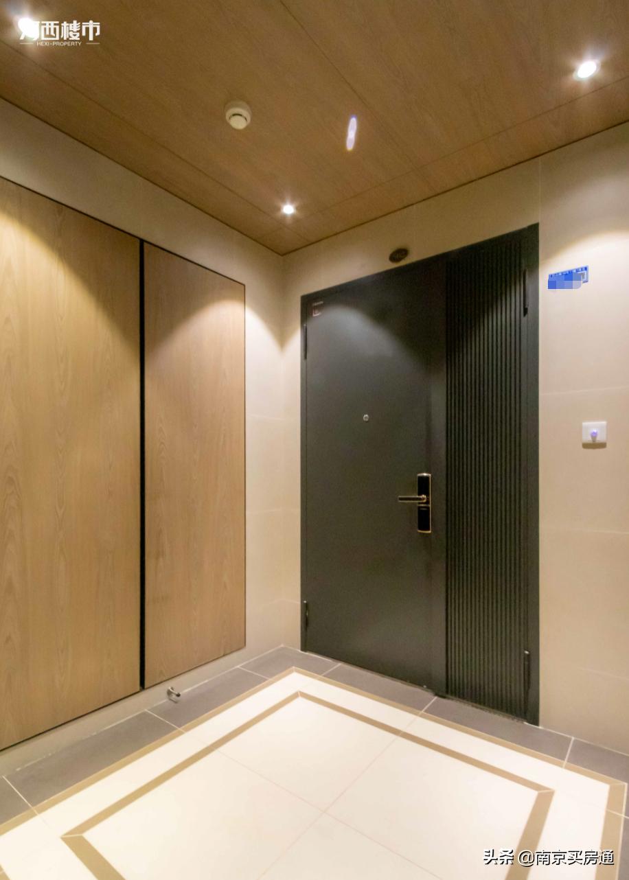 河西中新豪宅全景图,河西中心豪宅内部图片