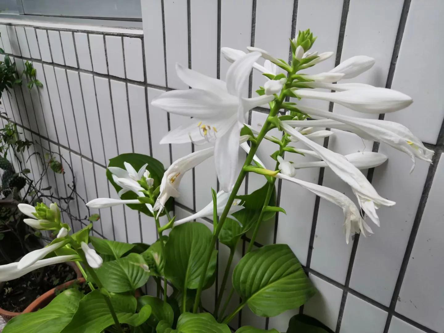 东京奥运会中国金牌夺冠回顾,2021年东京奥运会中国队金牌