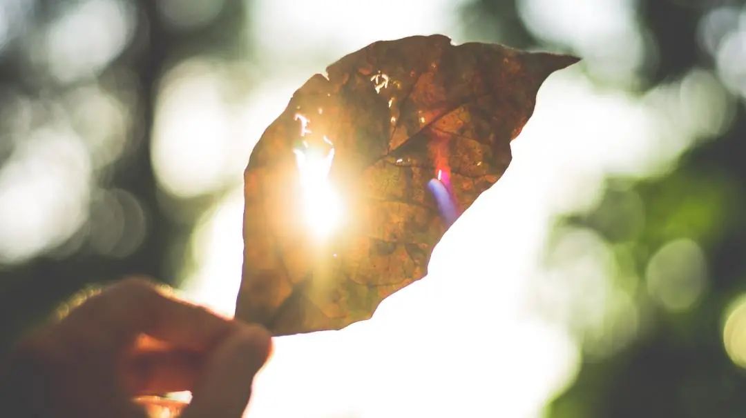 刘力红是什么样的,刘力红三和学院