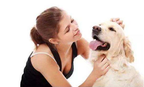 如何给狗狗按摩让狗狗感觉舒服,怎么按摩狗狗让狗狗喜欢你