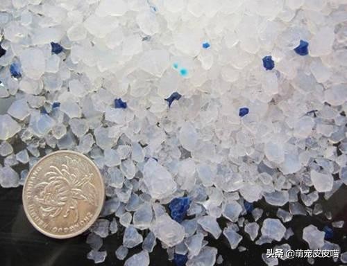 如何正确挑选猫砂,猫砂该怎么选