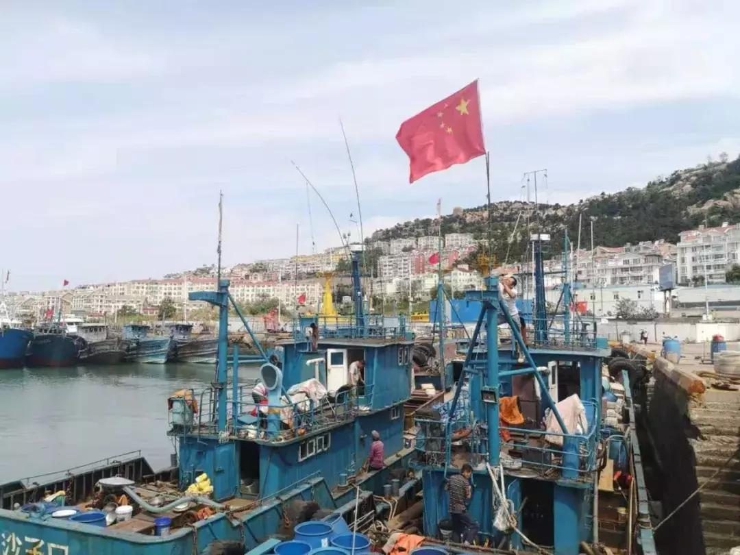 青岛开海了新鲜肥美的海鲜已上市,青岛开海红岛海鲜八大关