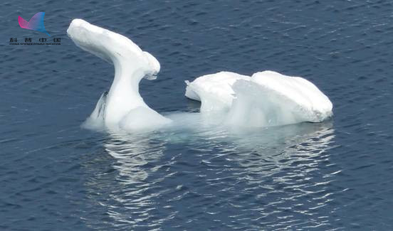 南北极气候为什么不一样,南北极海洋有何区别