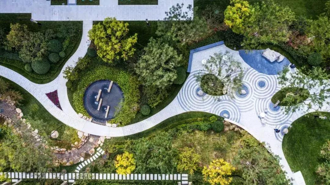 涟漪是哪篇课文,涟漪像什么