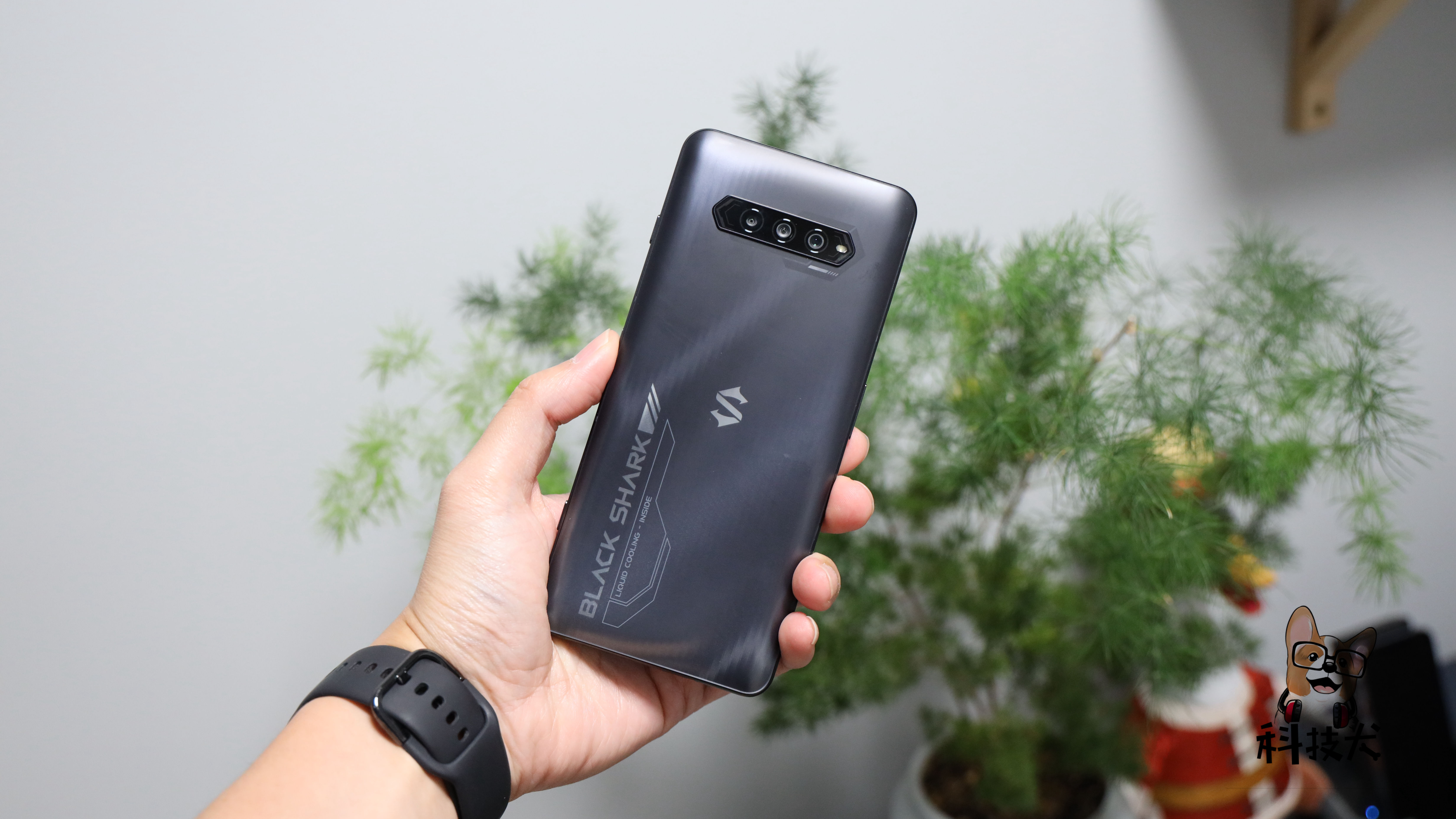 科技犬手机性价比,手机推荐2021三星苹果华为旗舰