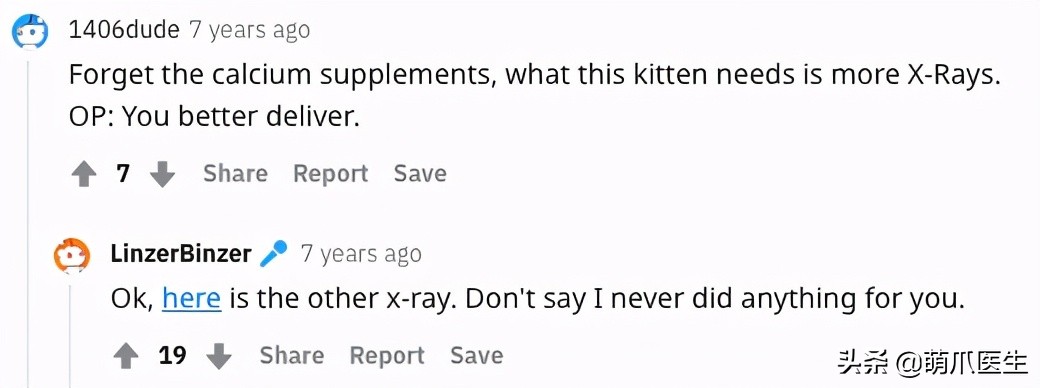 x光猫爪辟谣,猫爪x光是真的吗