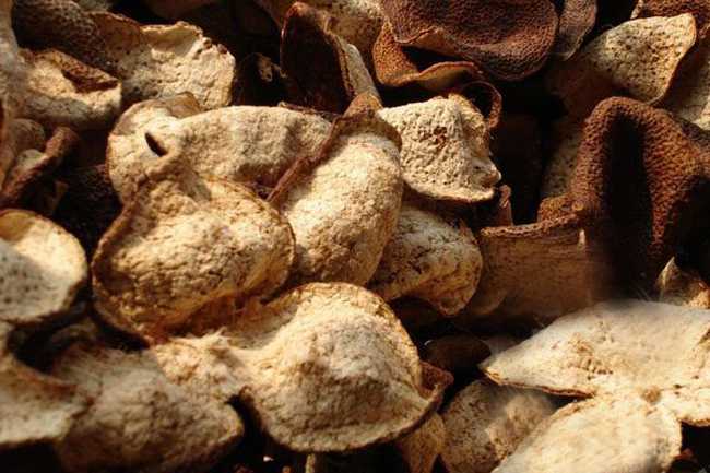 新会陈皮交易市场在哪,新会最大陈皮交易市场