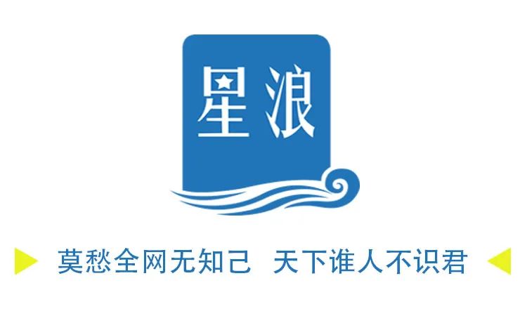 软文类电商文案案例怎么写,关于星浪综合网的软文