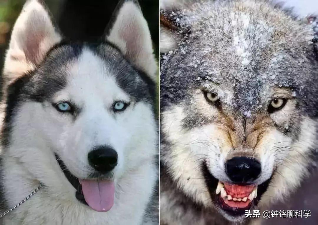 人都是女人生的，早在人类形成之前，第一个女人是怎么来的？