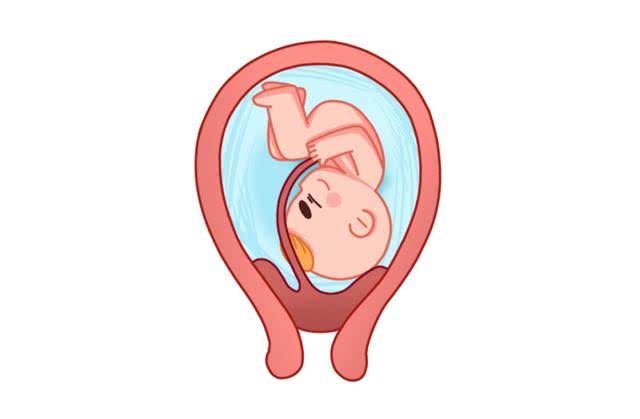 先兆流产，保还是不保？黄体酮是不是真的“没毛用”？