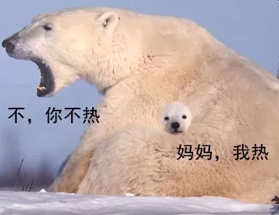 别花冤枉钱！冬天娃的帽子、围巾、袜子要这么选