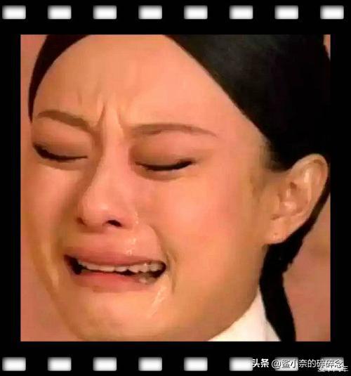 当了白狼王，又想当馒头王——小骚骚你真是个小机灵鬼