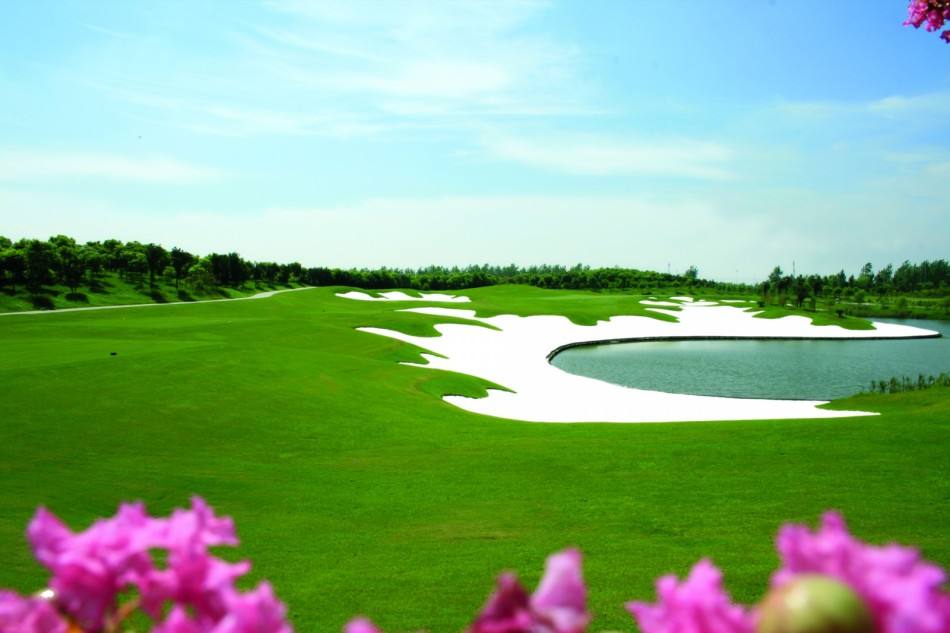 高尔夫规则违规击球,高尔夫规则中不规范打球姿势