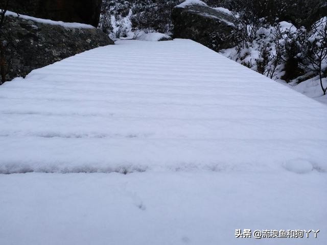 年保玉则现在开放了吗,年保玉则为啥被封