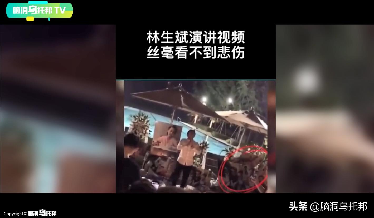 林生斌各大网红发声,林生斌网红发声