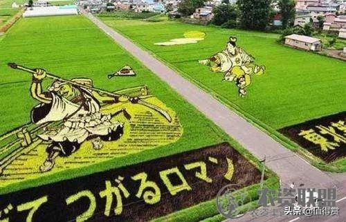 “变态”的日本农业：超前思维，敬畏自然，死磕单品