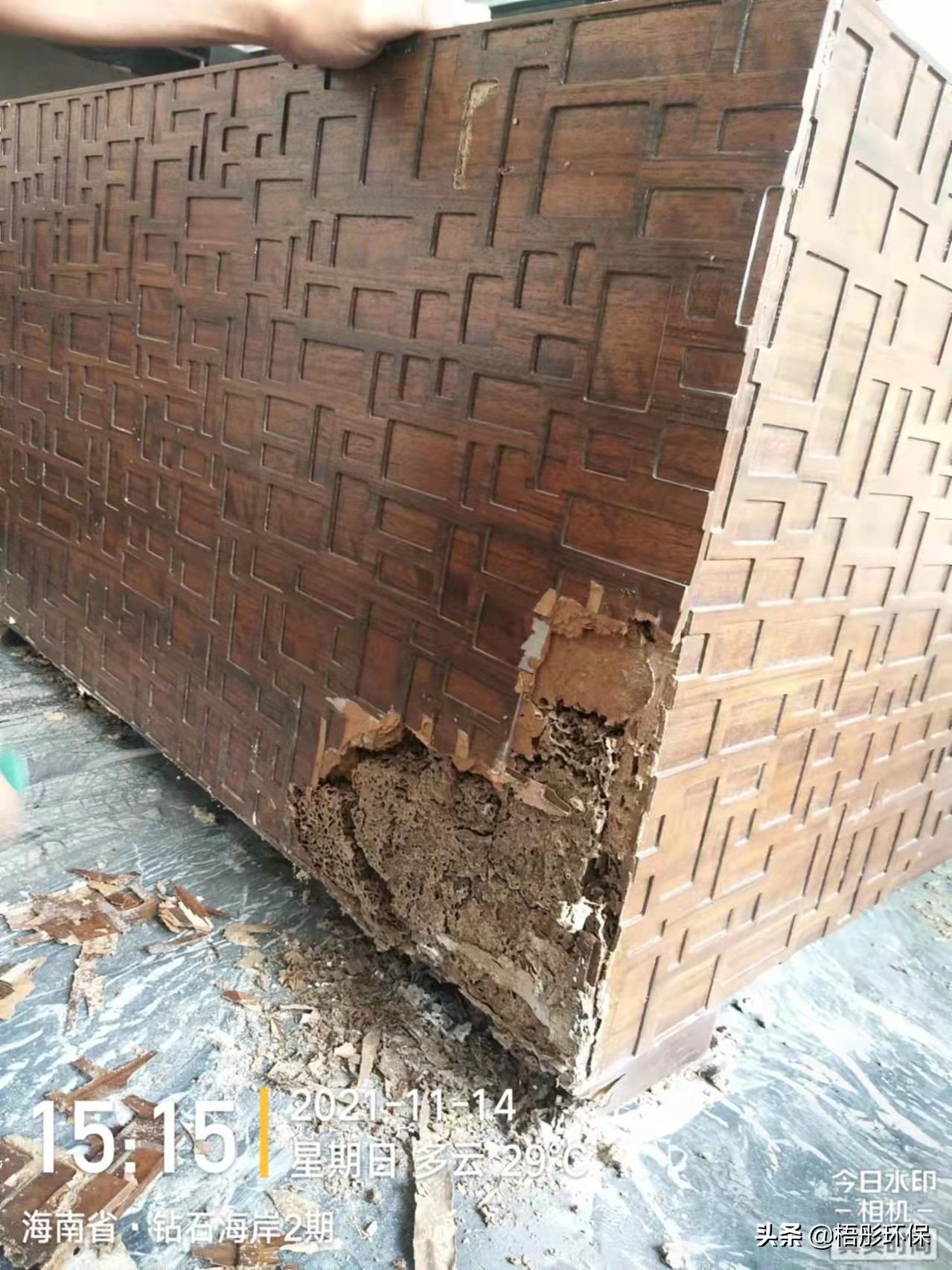 白蚁的解决方法,白蚁要怎么防治