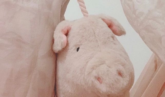 chanel经典女包包,chanel包包女