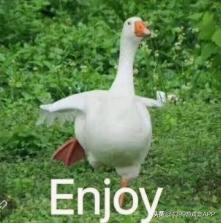 大鹅模拟器飞鹅,大鹅模拟器手游版