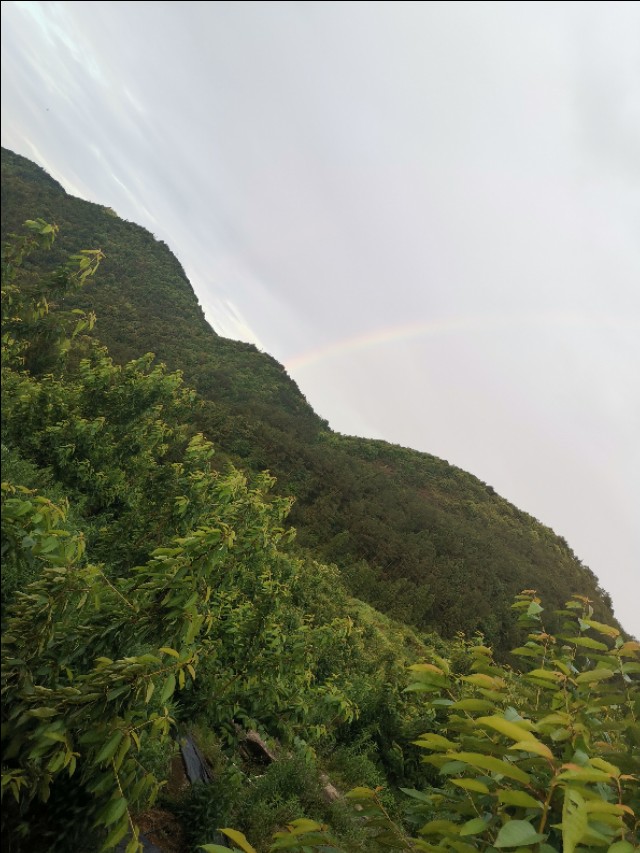 福建遛娃之福州永泰云顶