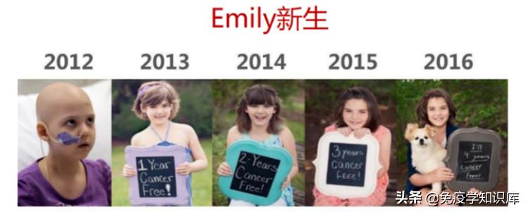 免疫细胞治疗时代已经来临,免疫细胞疗法疑问