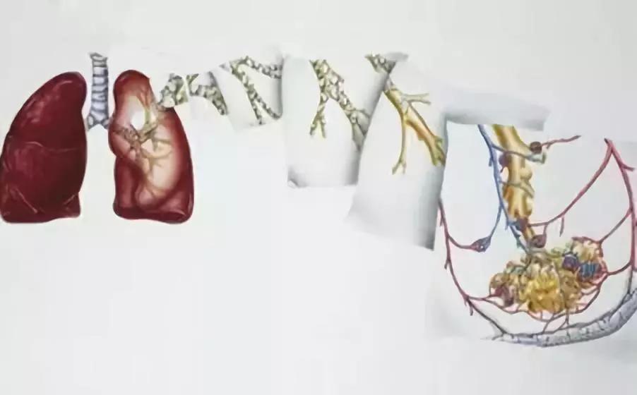 儿童哮喘如何规范用药,儿童哮喘怎么调理最有效