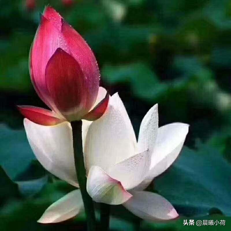 如何缓解职场压力和焦虑情绪,如何缓解职场压力导读