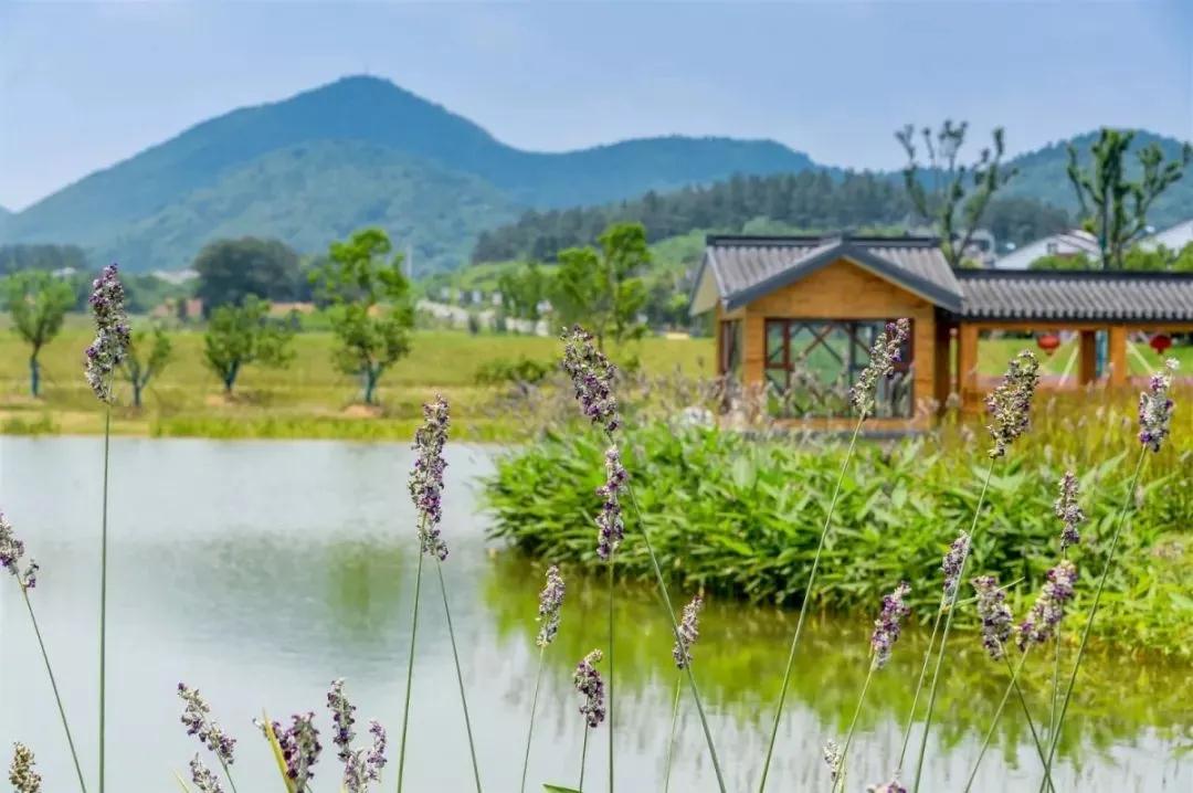 常州金坛最美乡村,金坛有哪些美丽乡村