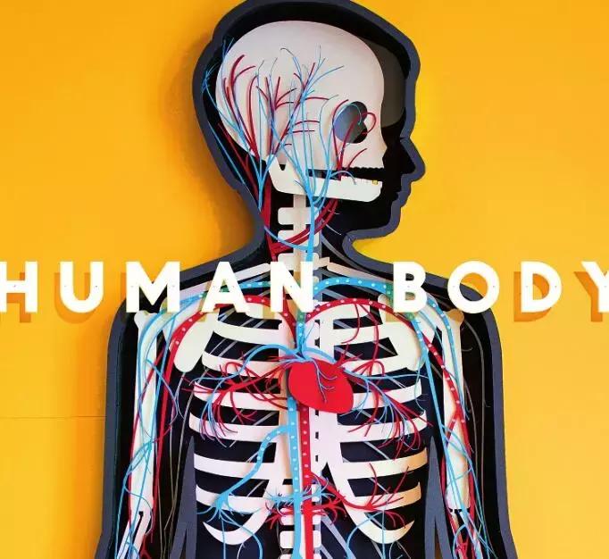 平面设计爱心教程,平面设计的痛