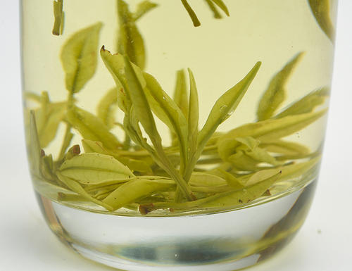 天目湖白茶不仅是“中国世博十大名茶”，它的汤色更是鹅黄明亮