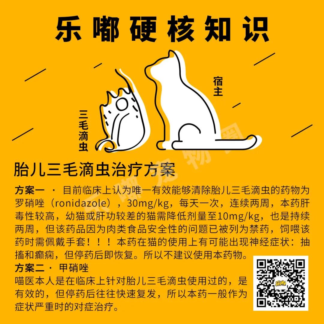 常规驱虫药都不能赶走哪些寄生虫,驱虫关注事项有哪些