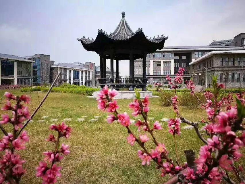 中医药大学校名题字,全国各省中医药大学校训