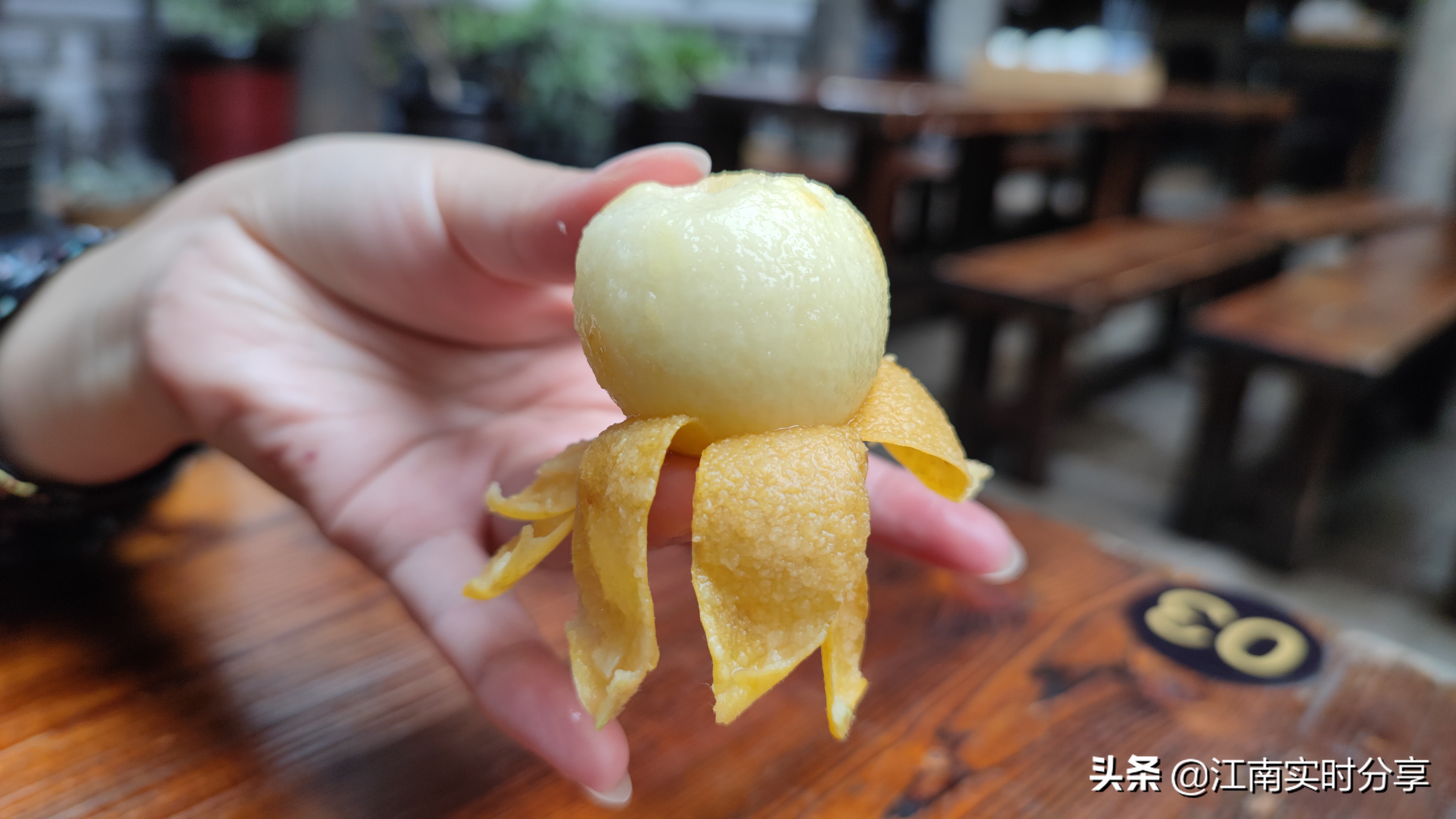 苏州摘枇杷季节,苏州东山采枇杷之旅