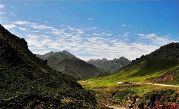 冬虫夏草在什么地方可以挖得到,冬虫夏草的虫怎么挖