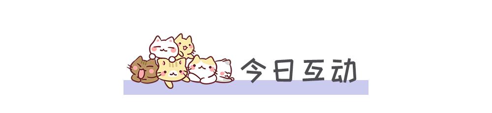 猫咪发情了怎么办？做好这几点，你也是个专业的铲屎官