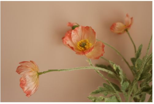 如何自助刷墙漆,自助刷墙漆