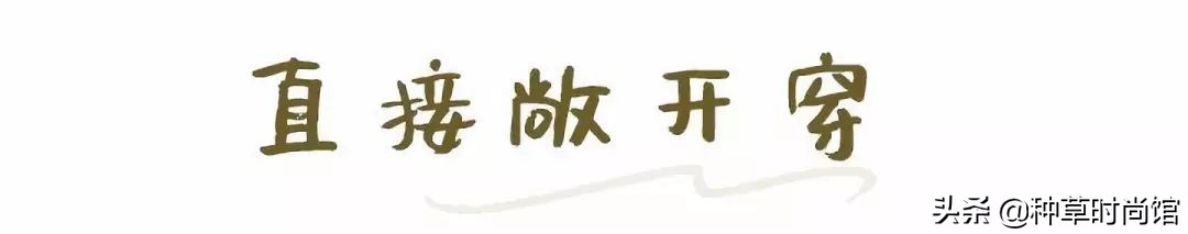 时髦针织衫穿搭,针织衫如何穿出时髦感