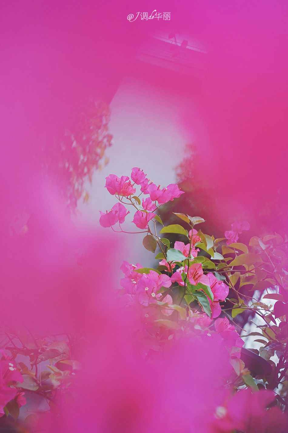 厦门没去过的地方,厦门没去过的景点