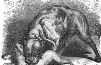 危险分子猛犬暴徒—加纳利，请你低调