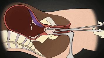 中国被遗忘的女性,被历史遗忘的中国女性