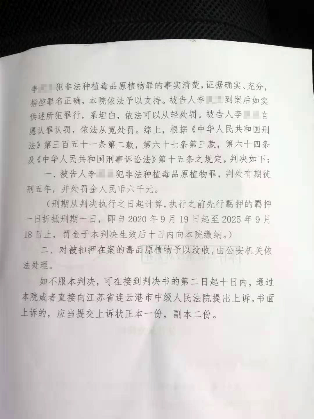 江苏7旬老人种下4千余棵*粟罂**被判5年，家属质疑量刑过重：同类案件当事人种万余棵判刑3年缓刑3年