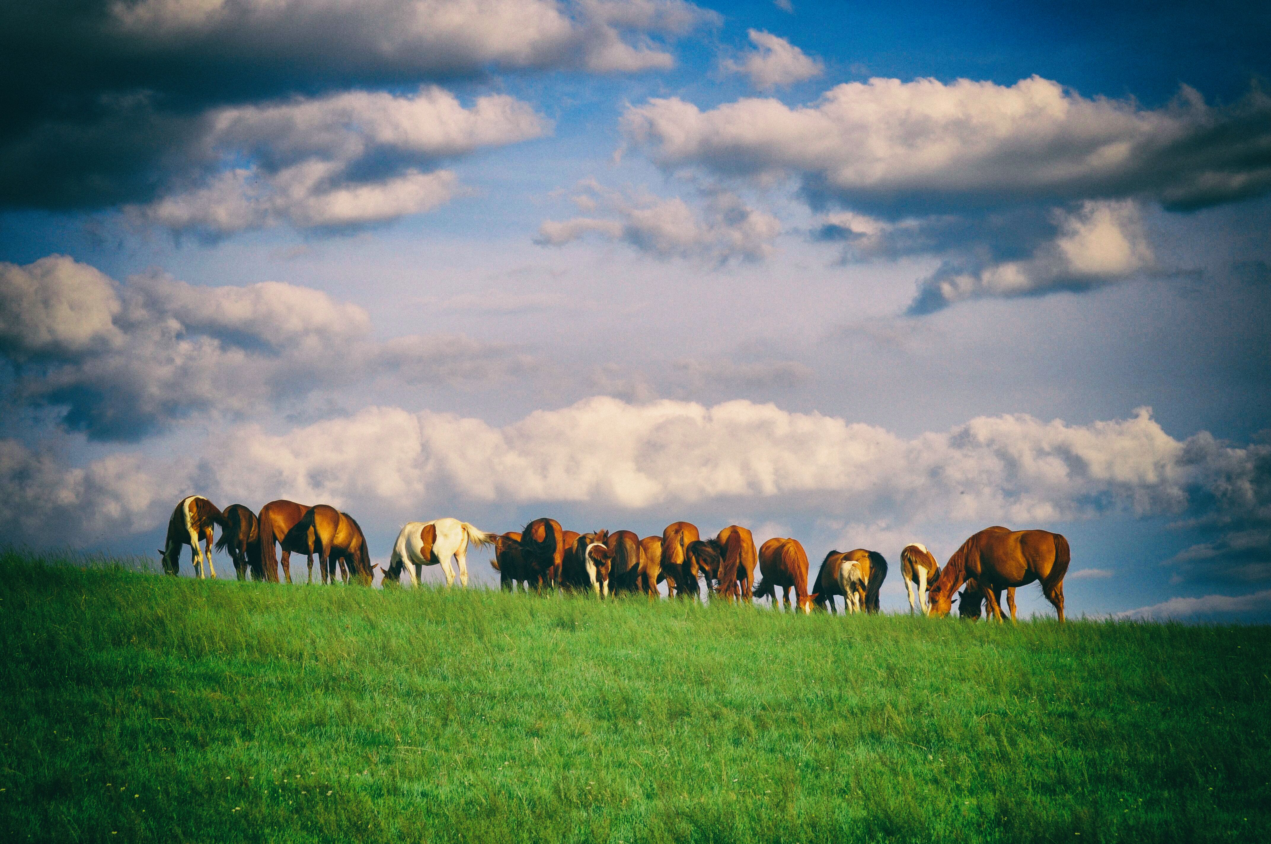 南方人自驾来东北是啥体验,15天一万公里的新疆感受