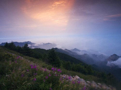梦中仙境雾气,雾气淡怎么拍出来