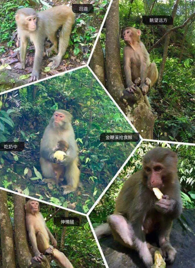 张家界旅游攻略现在张家界气温,张家界旅游攻略自由行攻略