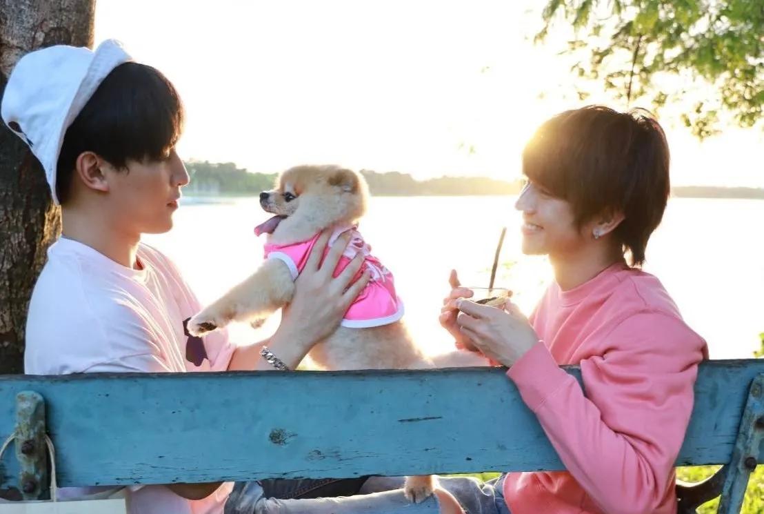 fluke福多多萌主密探,泰星fluke福多多所有作品