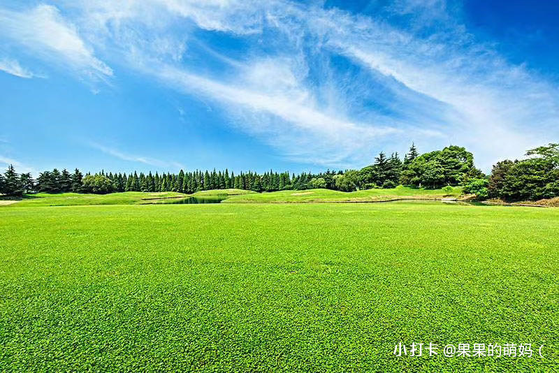 空杯归零重头出发,只要你愿意重头开始