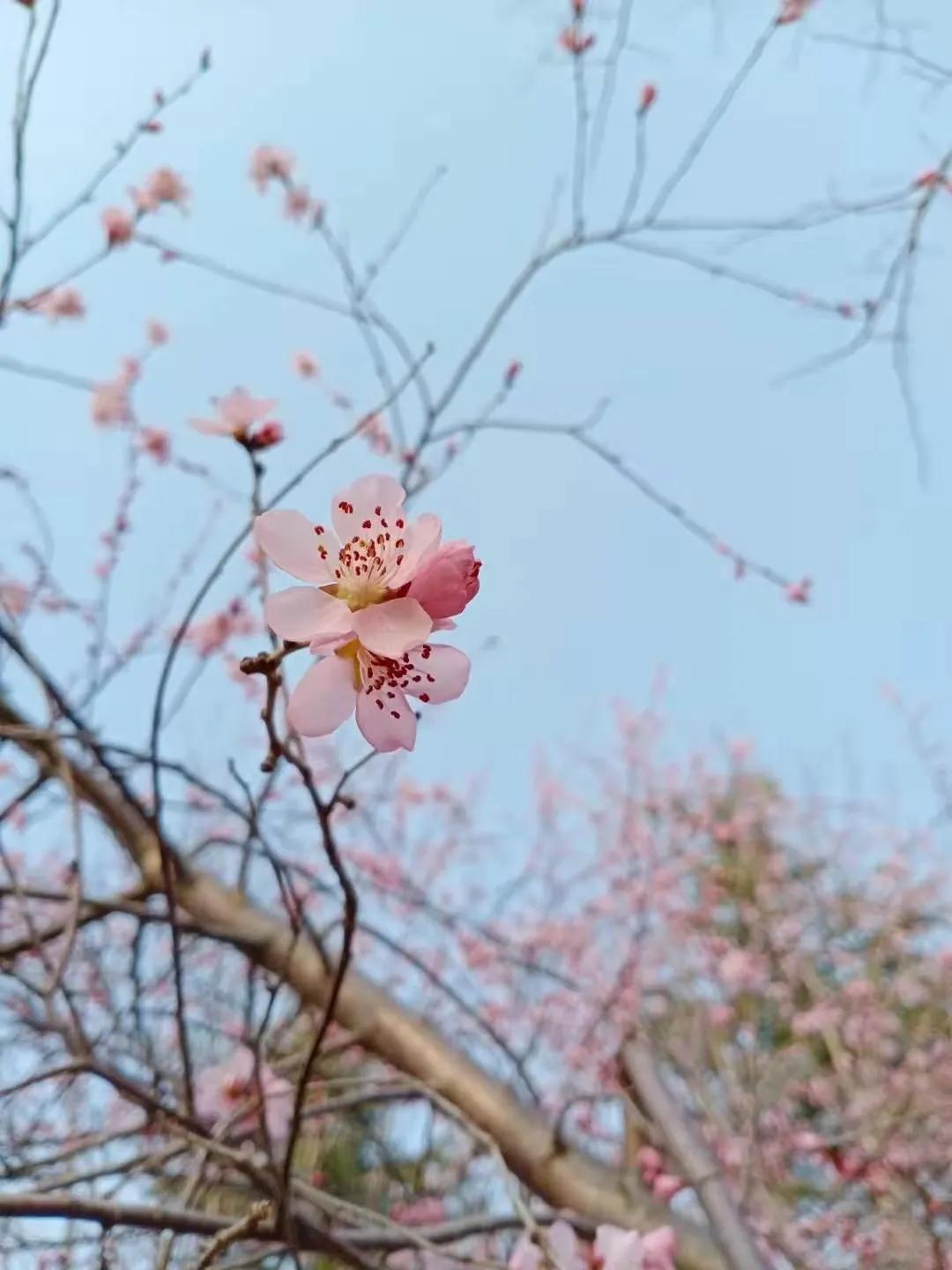女性心理问题的解决方法,女性朋友心情很压抑怎么开导