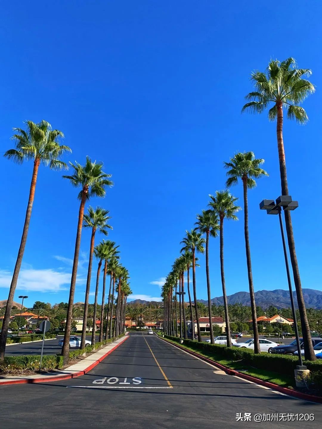 美国确诊超481万,美国确诊病例超115万例