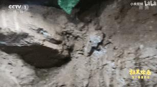 姜武真实事件改编电影,姜武演的良心电影是哪拍的